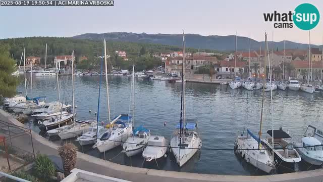 Vrboska Île de Hvar | Croatie