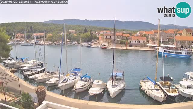 Vrboska web kamera | otom Hvar | Dalmacija
