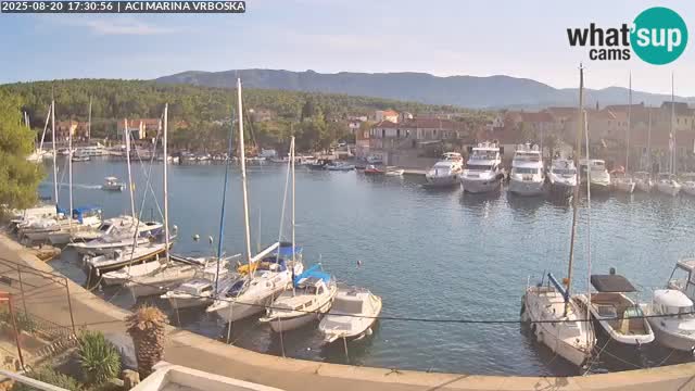 Vrboska web kamera | otom Hvar | Dalmacija