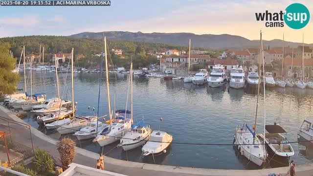 Camera Vrboska | Isla de Hvar | Croacia