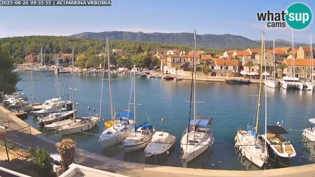 Vrboska web kamera | otom Hvar | Dalmacija