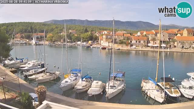 Camera Vrboska | Isla de Hvar | Croacia