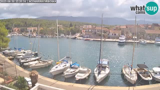 Camera Vrboska | Isla de Hvar | Croacia
