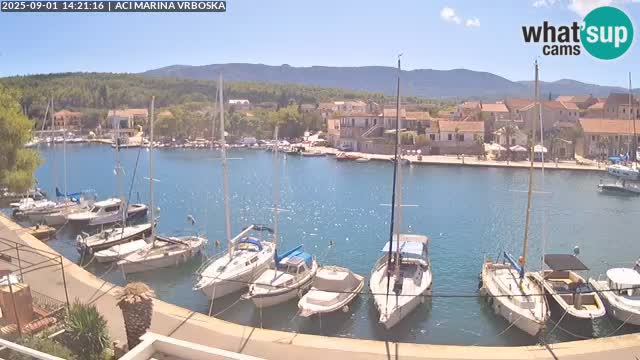 Vrboska livecam | Isola di Hvar | Croazia