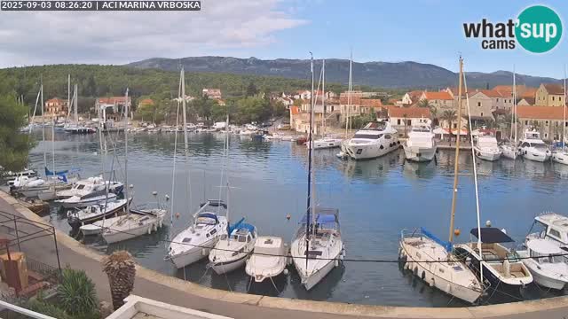 Vrboska livecam | Isola di Hvar | Croazia