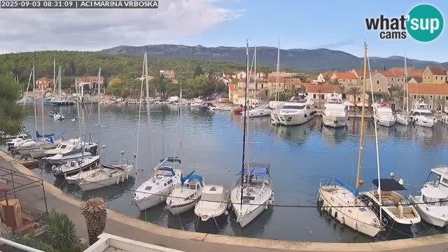 Vrboska livecam | Isola di Hvar | Croazia