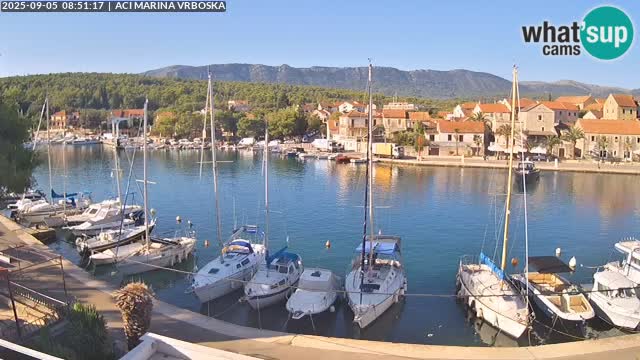 Vrboska livecam | Isola di Hvar | Croazia
