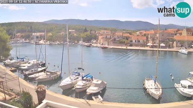 Vrboska livecam | Isola di Hvar | Croazia