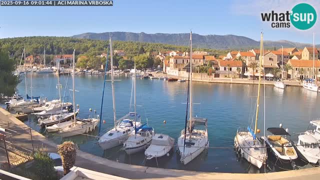 Vrboska livecam | Isola di Hvar | Croazia