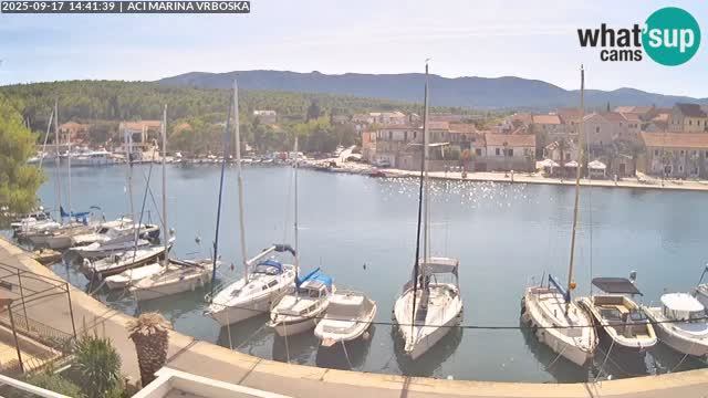 Vrboska web kamera | otom Hvar | Dalmacija