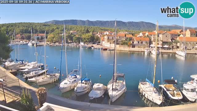 Camera Vrboska | Isla de Hvar | Croacia