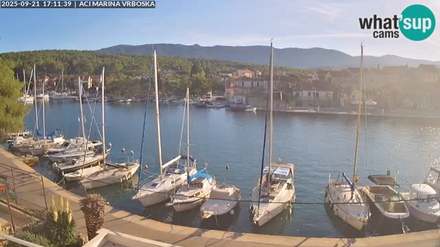 Camera Vrboska | Isla de Hvar | Croacia
