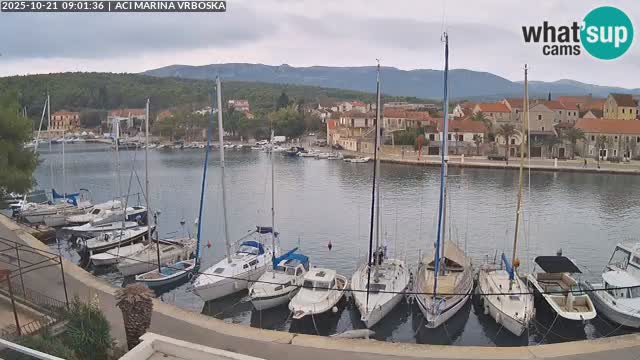 Vrboska webcam | Hvar Insel | Kroatien