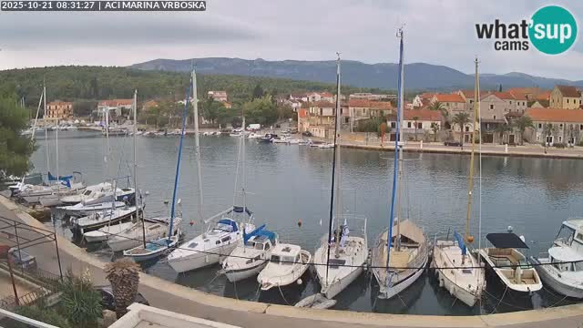 Camera Vrboska | Isla de Hvar | Croacia
