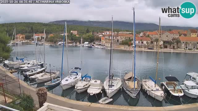 Camera Vrboska | Isla de Hvar | Croacia