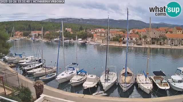 Vrboska Île de Hvar | Croatie