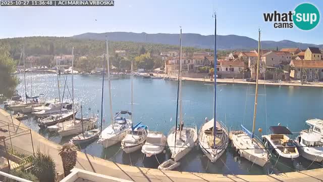 Vrboska web kamera | otom Hvar | Dalmacija