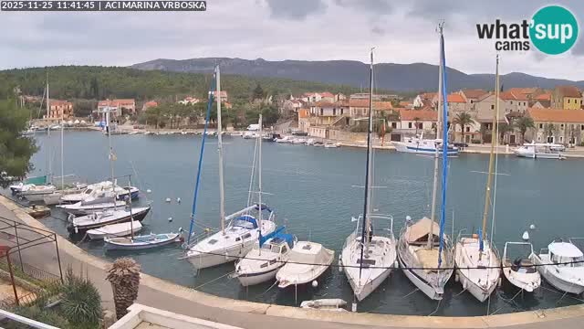 Vrboska Île de Hvar | Croatie
