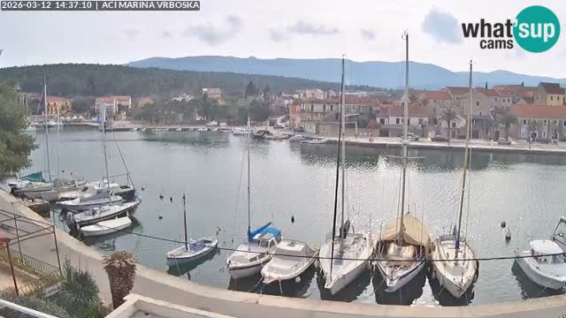 Vrboska Île de Hvar | Croatie