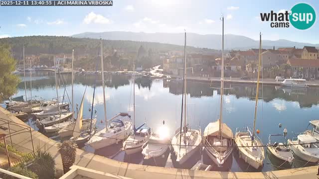 Vrboska Île de Hvar | Croatie