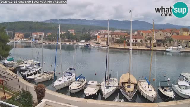 Camera Vrboska | Isla de Hvar | Croacia