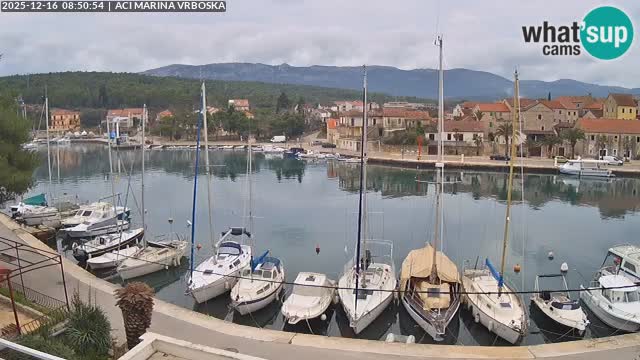 Vrboska Île de Hvar | Croatie
