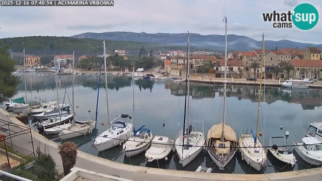 Vrboska livecam | Isola di Hvar | Croazia