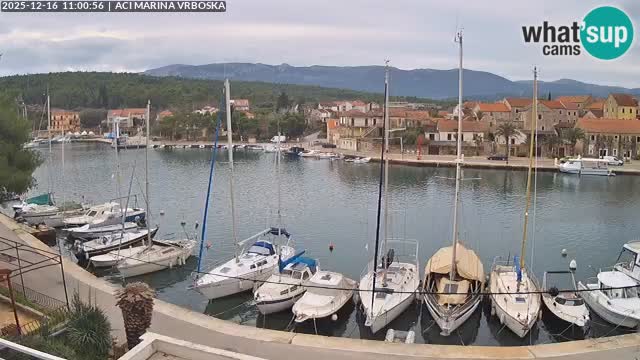 Camera Vrboska | Isla de Hvar | Croacia