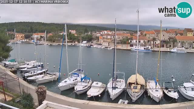 Vrboska webcam | Hvar Insel | Kroatien