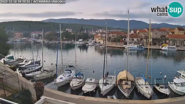 Vrboska Île de Hvar | Croatie