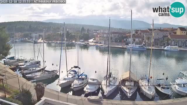 Vrboska Île de Hvar | Croatie