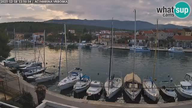 Vrboska Île de Hvar | Croatie