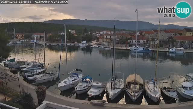 Camera Vrboska | Isla de Hvar | Croacia