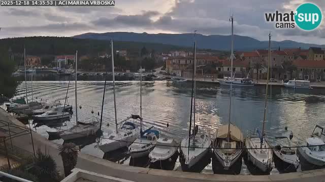 Vrboska Île de Hvar | Croatie