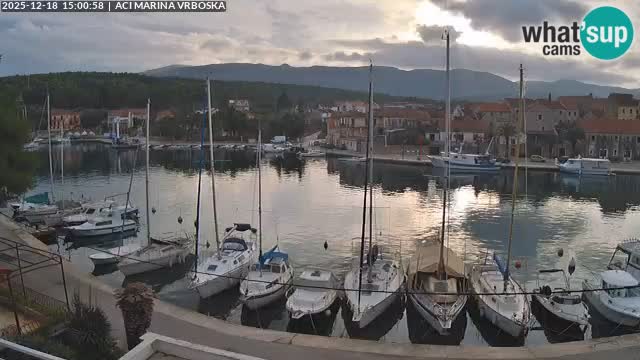 Vrboska Île de Hvar | Croatie