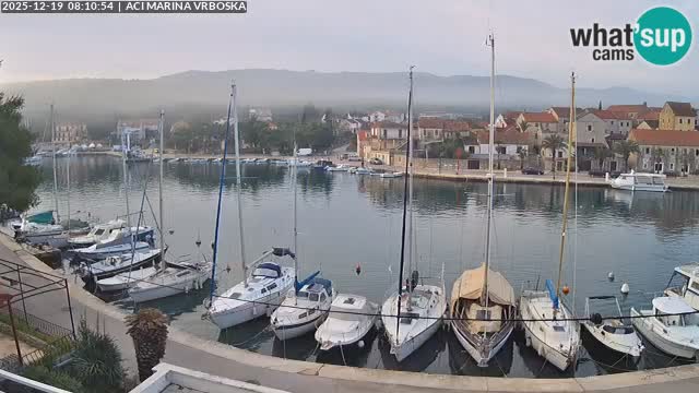 Vrboska Île de Hvar | Croatie