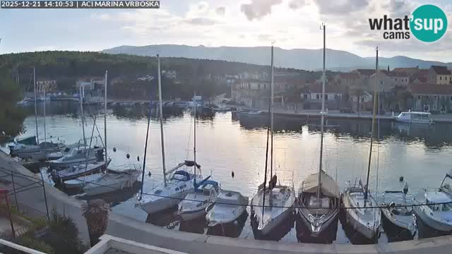 Vrboska Île de Hvar | Croatie