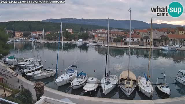 Camera Vrboska | Isla de Hvar | Croacia