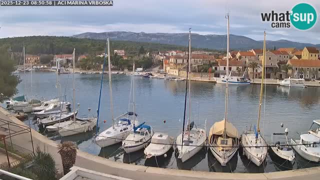 Vrboska Île de Hvar | Croatie