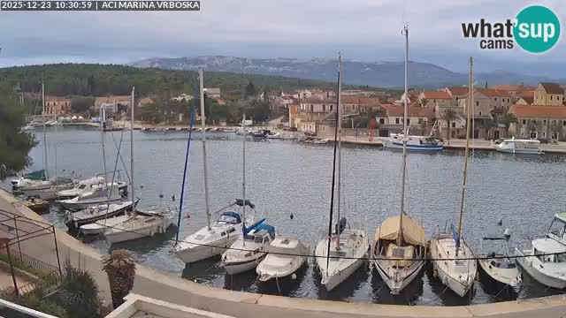 Vrboska Île de Hvar | Croatie