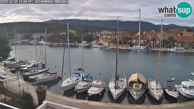 Camera Vrboska | Isla de Hvar | Croacia