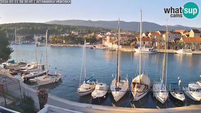 Vrboska web kamera | otom Hvar | Dalmacija