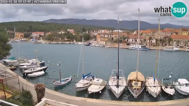 Vrboska Île de Hvar | Croatie