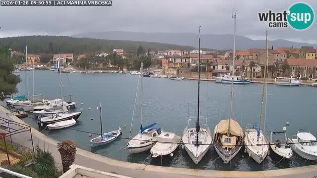 Vrboska Île de Hvar | Croatie