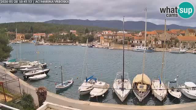 Vrboska webcam | Hvar Insel | Kroatien