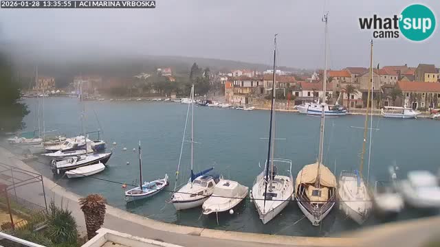Vrboska livecam | Isola di Hvar | Croazia