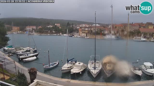 Camera Vrboska | Isla de Hvar | Croacia