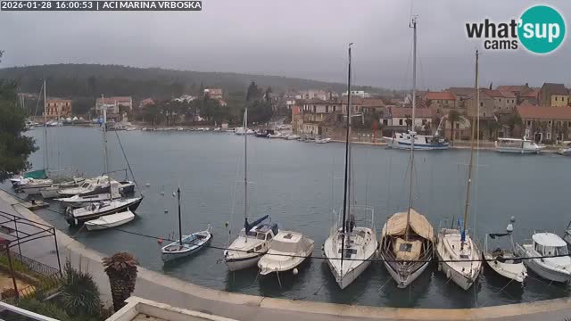Vrboska livecam | Isola di Hvar | Croazia