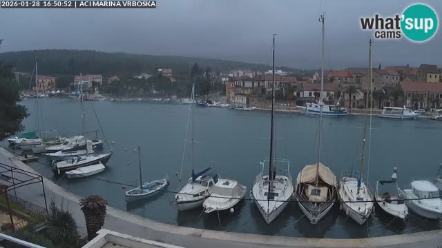 Camera Vrboska | Isla de Hvar | Croacia