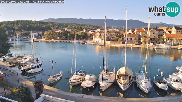 Camera Vrboska | Isla de Hvar | Croacia